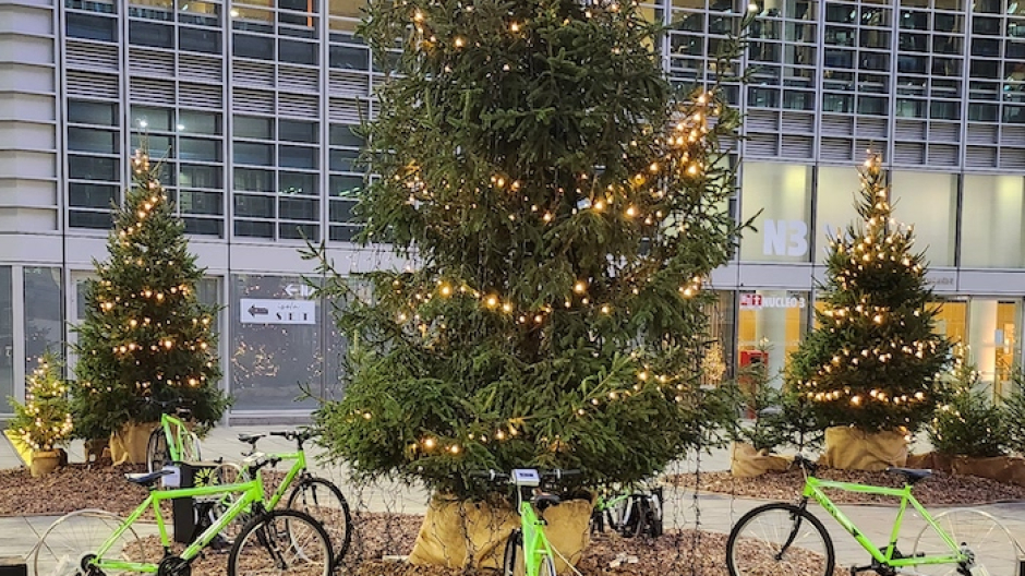 A Omegna l’albero di Natale si illumina… a pedali: un mese di magia green 